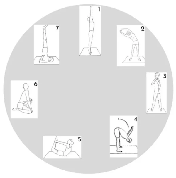 7asanas