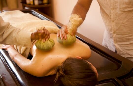 Ayurveda – Patra potli 1