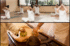 Vedic Yoga Centre Courses